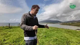 Making Peace with the Thistle on a Mayo Sheep farm - Farming for Nature Ambassador Colum Ginnelly