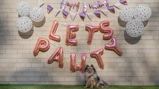 Happy 1st Birthday to our little Pomeranian Koda!
