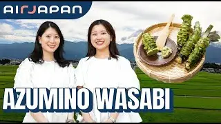 Exploring Wasabi & Scenic Cycling in Azumino, Nagano — with AirJapan Cabin Attendants