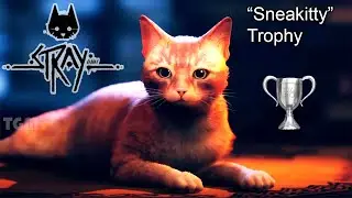 Stray - Sneakitty Trophy - Go through Midtown without being detected by the Sentinels | PS4 PS5 PC
