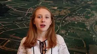 Domaine GITTON P&egrave;re & Fils (English) - Sancerre