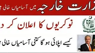 Jobs in Ministry of Foreign Affairs 2020