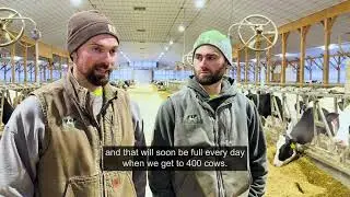 Spotlight On: Irish Settlement Dairy Farm
