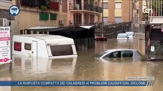 7 SEVEN 25 gennaio 2026