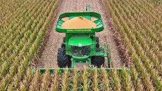 New Combine is a Corn Eating Machine!  Corn Harvest 2023