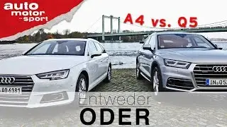 Audi Q5 vs. Audi A4 Avant | Entweder ODER | (Vergleich/Review) auto motor und sport