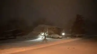 Snow January 29, 2022 New Jersey