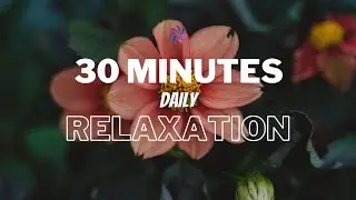 Relaxing Nature and Enigmatic Music for Stress Relief and Sleep #enigmatic #tree #ambience #blossom