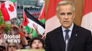 Canada recognizing Palestinian state might not be right move: expert