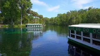 Florida Travel: Tour the Famed Silver Springs State Park
