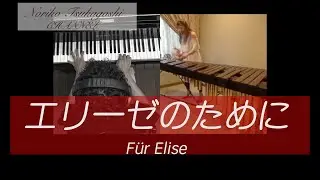 塚越慎子【リモート演奏】エリーゼのために...？ / ベートーヴェン
