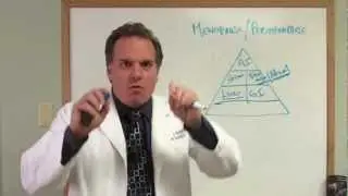 Improving Menopausal Symptoms Naturally