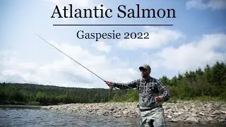 Pêche au saumon 2022 - Gaspesie - (Le Roi des Rivières)