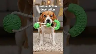 my beagle loves this toy❤️❤️🌸
