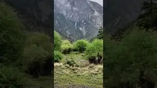Kalash valley Pakistan |the land of peace and beauty
