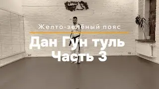 Дан Гун туль. Часть 3 | Связки блоков. Тхэквондо для желто зеленого пояса