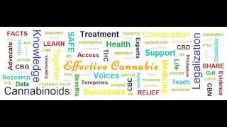 The Fundamentals of Cannabis Mastery, FCM1 - Limited Offer 50% Off