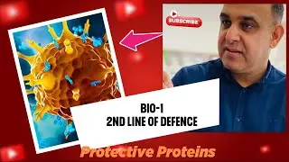 Immunity -2nd line of defence -Complement System (Protective Proteins)