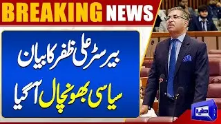 New Opposition Leader Appointed in Senate | Barrister Ali Zafar Made Big Statement | Dunya News