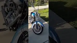 She rides 😎Harley-Davidson Dyna lowrider