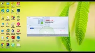 How To Install Oracle Database 19c on Windows 10