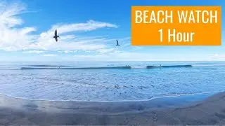 Calm Surf Watch with Ocean Sounds