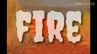 Amazon forest fire
