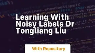 Learning with noisy labels dr tongliang liu