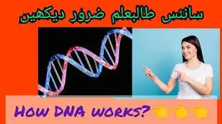 how DNA works? @Vlogsworld10Mview #trending #biology #10th #onlinelecturevideo