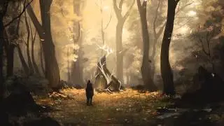 Z I N V M M - Velhos caminhos de velhas arbores