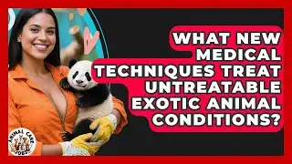 What New Medical Techniques Treat Untreatable Exotic Animal Conditions? - Animal Care Jobs