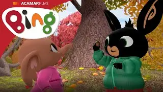 Bolotas | ⭐ Novo epis&oacute;dio ⭐ | Bing Portugu&ecirc;s Brasil