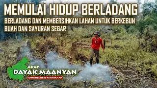 Kehidupan Suku Dayak, Berladang Sayur dan Buah di Pedalaman Kalimantan