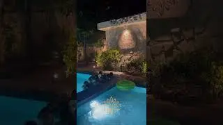 Farmhouse Birthday Party | Birthday Party Ideas | Weekend Getaway | Delhi Gurgaon Airbnb | Pvt Villa