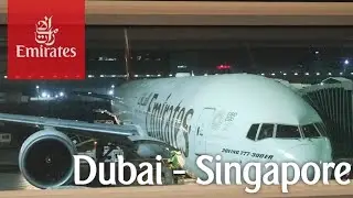 TRIPREPORT | The Best Emirates Economy Class Service! | Dubai - Singapore | Boeing 777-300ER