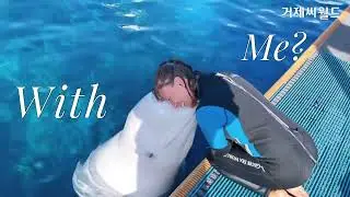 (ENG) A dreamy day to meet dolphin&beluga