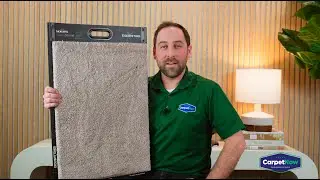 Mohawk Exquisite Tones Carpet Review