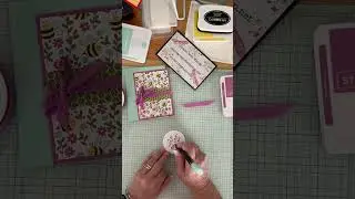 Bundle Fun Meant to Bee