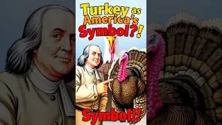 🦃🇺🇸 Why Benjamin Franklin Wanted The Turkey Instead Of The Bald Eagle As America&rsquo;s National Symbol 🦅