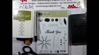 Cards made using the new Daisy Delight stamp set from Stampin' Up!