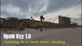 Opale Oxy 1.0 Hand Catch Landing