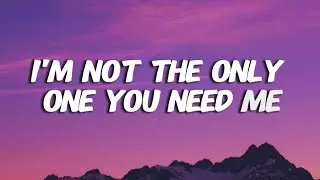 I&rsquo;m Not the Only One' new english song with lyrics.