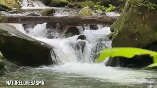 12 Hours Waterfall Sounds | Great Smoky Mountains National Park ASMR Sleep