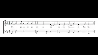 LUIGI ROSSI: Dopo lungo penare PDF SCORE