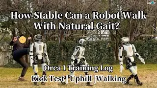 How Stable Can a Robot Walk With Natural Gait?