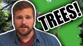 THE FIRST CARBON NEUTRAL COUNTRY! |  #TeamTrees
