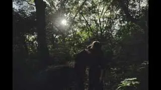 Gem Club - Braid - not the video