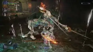 1 HP and No Teammates Left vs Everdark Sentient Pest | Elden Ring Nightreign