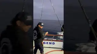 Greylight Aboard Legend Sportfishing #marinediesel #socalfishing #sandiegofishing