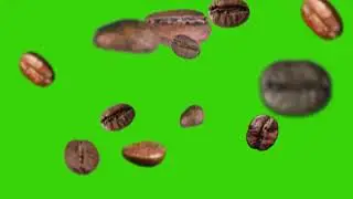 Coffee Seeds Falling Down  Green Screen Motion Video  Free HD Background Footage |virtualtechline
